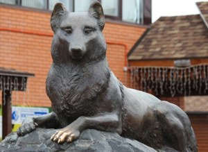 Ижевский волк &mdash; всем товарищ.