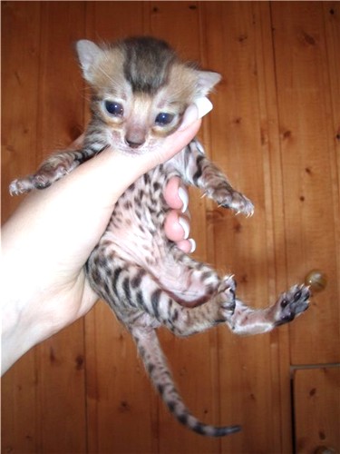 К переезду в Челны готов! К переезду