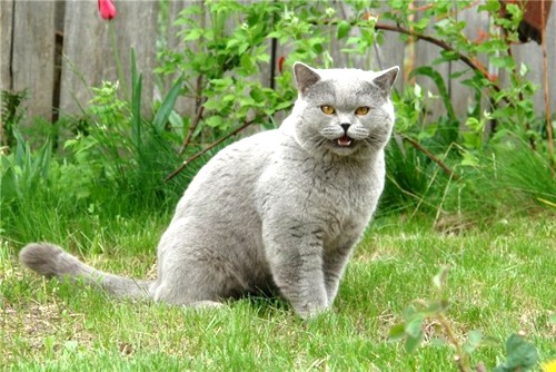 Малыш весит, как годовалый ребенок. Малыш