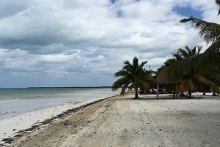 Кубинский фоторепортаж президента РТ Рустама Минниханова