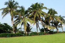 Индийский фоторепортаж президента Татарстана Рустама Минниханова