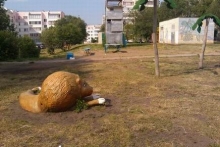 Вандалы любят делать селфи...