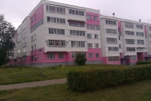 Художники спорят: «В чем красота Челнов?»