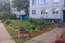 «Ландшафтные дизайнеры» из дома /11