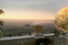 Первые фотографии со свадьбы Дмитрия Пескова и Татьяны Навки