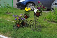 Первые композиции к фестивалю цветов появились во дворах Набережных Челнов