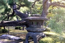 Визит Рустама Минниханова в Японию: культурная программа