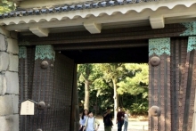 Визит Рустама Минниханова в Японию: культурная программа