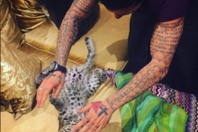 Футболист казанского 'Рубина' Благой Георгиев завел дома леопарда