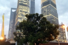 Челнинец Тимур Никонов стал 'Предпринимателем года' в Татарстане