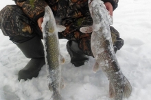 Ради чего челнинские рыбаки рискуют своей жизнью на неокрепшем льду реки Кама?