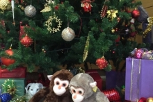 Заместитель премьер-министра РТ Василь Шайхразиев показал, как выглядит новогодняя Казань