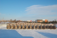 «Боевики из Чечни предлагали за наших собак большие деньги»