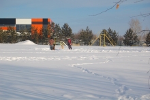 «Боевики из Чечни предлагали за наших собак большие деньги»