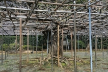 Токийский фоторепортаж Рустама Минниханова