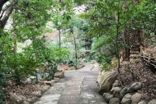 Токийский фоторепортаж Рустама Минниханова