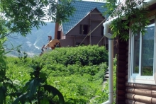 Татарстанцев приглашают на работу в Долину гейзеров на Камчатку