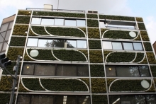 Главный архитектор Алмас Идрисов берет пример с японских коллег