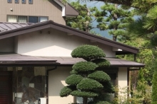 Япония глазами Алмаса Идрисова: ландшафтный дизайн