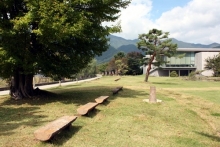 Япония глазами Алмаса Идрисова: ландшафтный дизайн