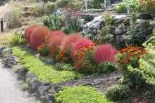 Япония глазами Алмаса Идрисова: ландшафтный дизайн