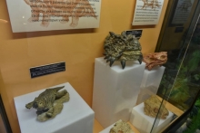 В Казани открылся парк динозавров. Президент Татарстана хочет сделать его постоянным