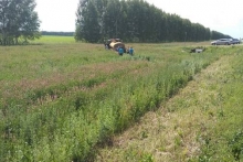 В Татарстане в столкновении трех автомобилей погибли пять человек