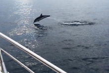 Как Лейла Султангалеева попала на роковую яхту в Испании