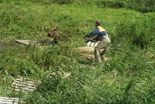 Челнинские спасатели четыре часа вытаскивали лося, застрявшего в очистных сооружениях