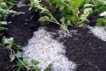 Прошедший в Татарстане ураган сносил кровлю домов и бил градом урожай