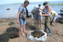 Более 1000 раков вытащили из браконьерских раколовок