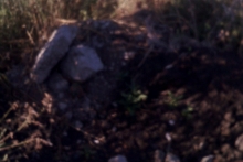 На БСИ открыли незаконные карьер и свалку. На кого работает этот грузовик?