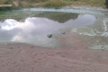 Челнинка бьет тревогу: 'Что сбросили в воду в Каме?'