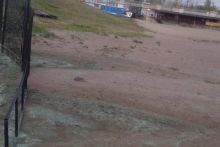 Челнинка бьет тревогу: 'Что сбросили в воду в Каме?'