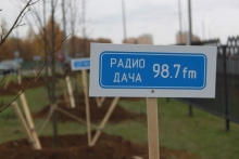 Радиоведущие и менеджеры вышли сегодня на улицу сажать деревья