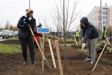 Радиоведущие и менеджеры вышли сегодня на улицу сажать деревья