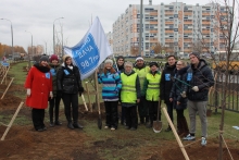 Радиоведущие и менеджеры вышли сегодня на улицу сажать деревья
