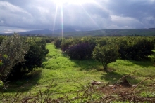 Елабужанин Максим Карманов встретил Новый год в Марокко - он путешествует автостопом