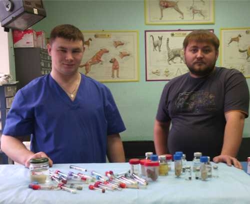 ветеринары1