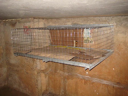 клетка для кошек