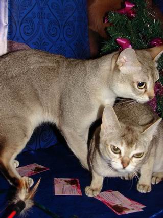 Изменение размера Изменение размера DSC05505