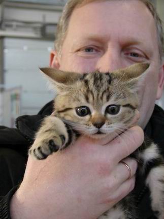 Изменение размера Изменение размера DSC05516