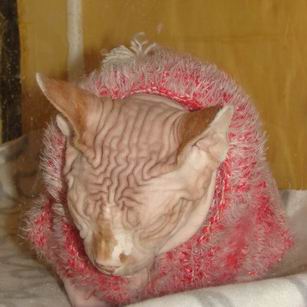 Изменение размера Изменение размера DSC05522