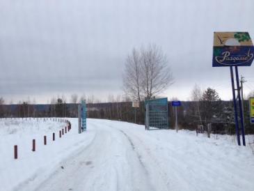 опушка-фото