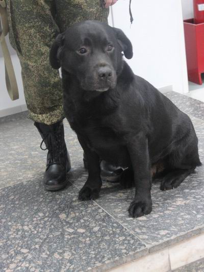 Изменение размера IMG_6147